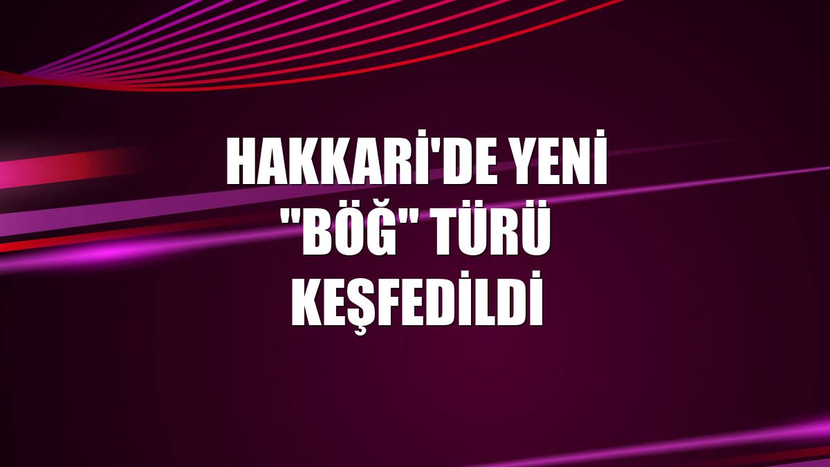 Hakkari'de yeni "böğ" türü keşfedildi