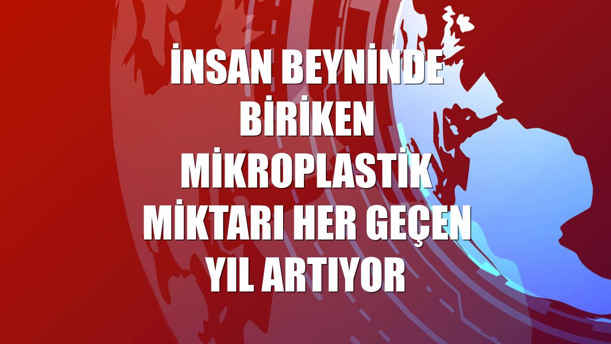 İnsan beyninde biriken mikroplastik miktarı her geçen yıl artıyor