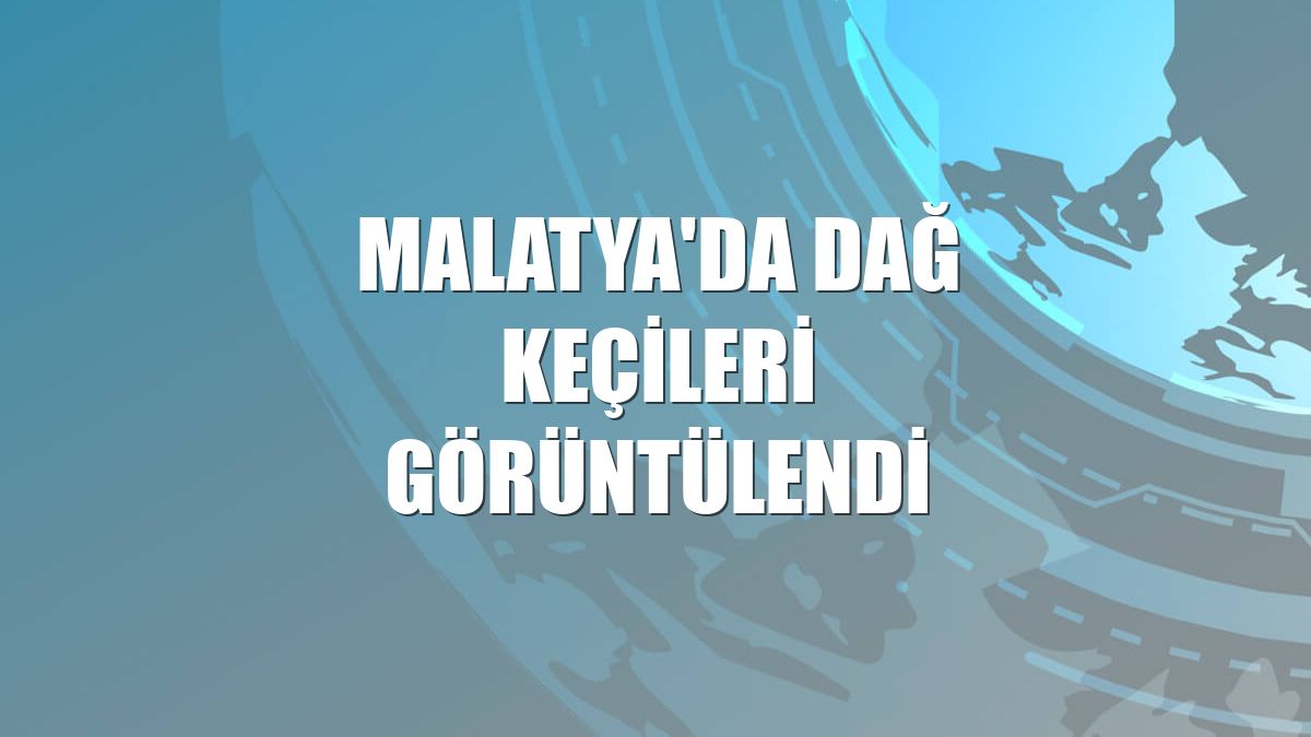 Malatya'da dağ keçileri görüntülendi