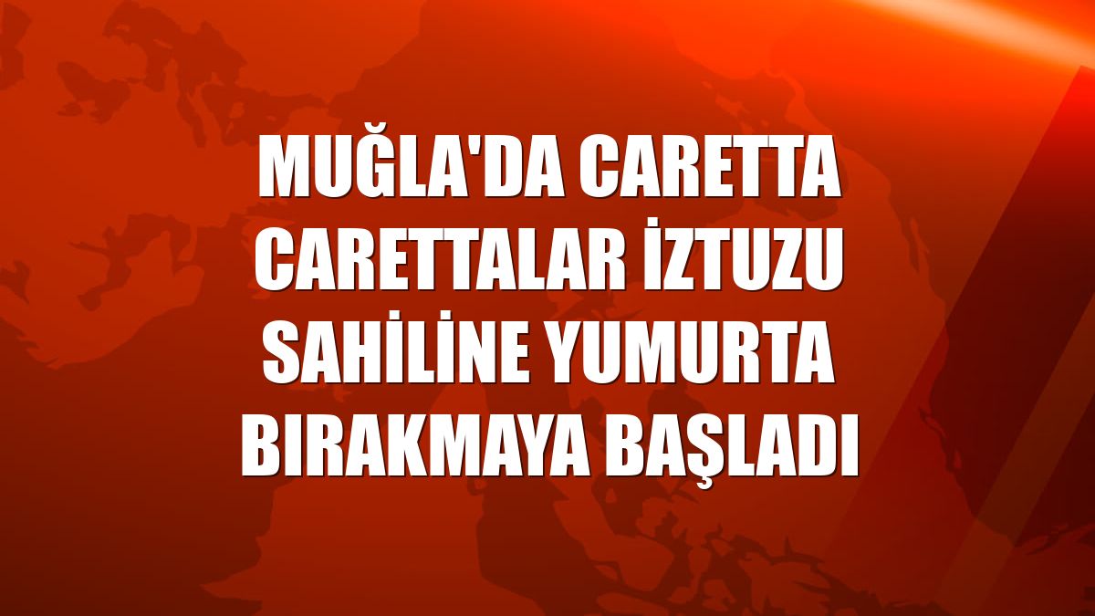 Muğla'da caretta carettalar İztuzu sahiline yumurta bırakmaya başladı