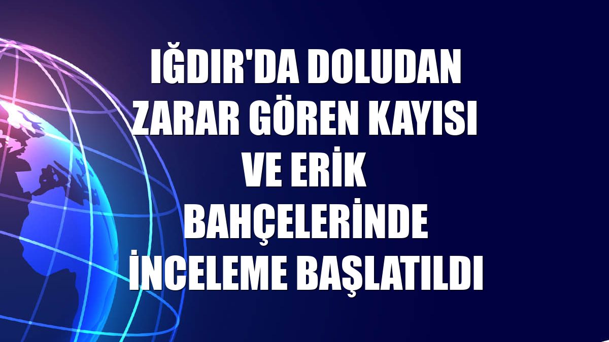 Iğdır'da doludan zarar gören kayısı ve erik bahçelerinde inceleme başlatıldı