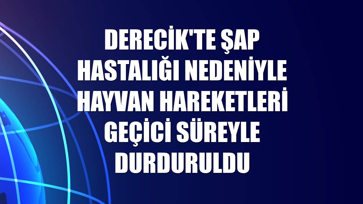 Derecik'te şap hastalığı nedeniyle hayvan hareketleri geçici süreyle durduruldu