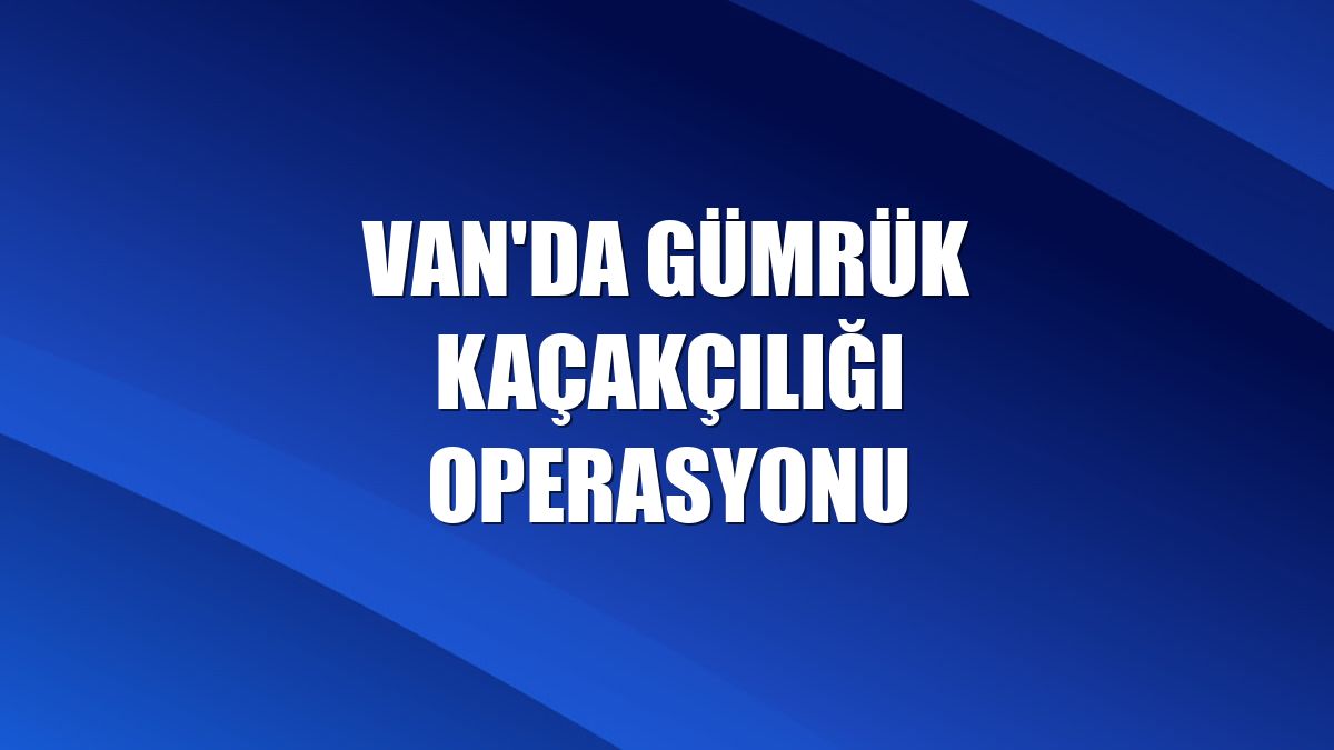 Van'da gümrük kaçakçılığı operasyonu