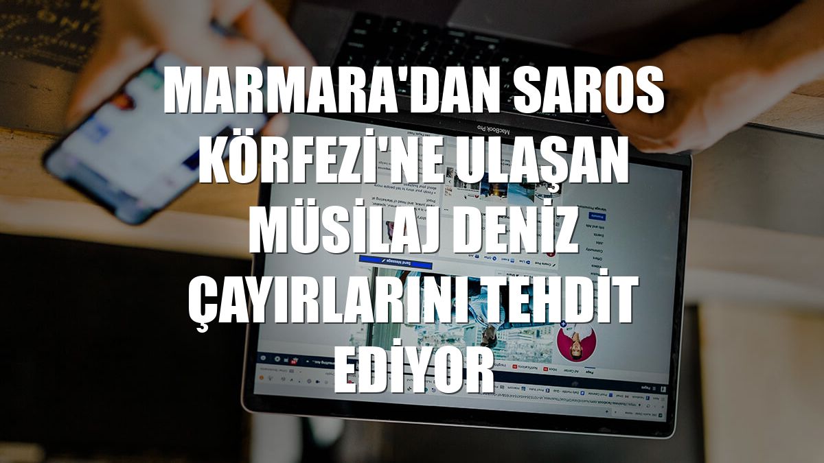 Marmara'dan Saros Körfezi'ne ulaşan müsilaj deniz çayırlarını tehdit ediyor