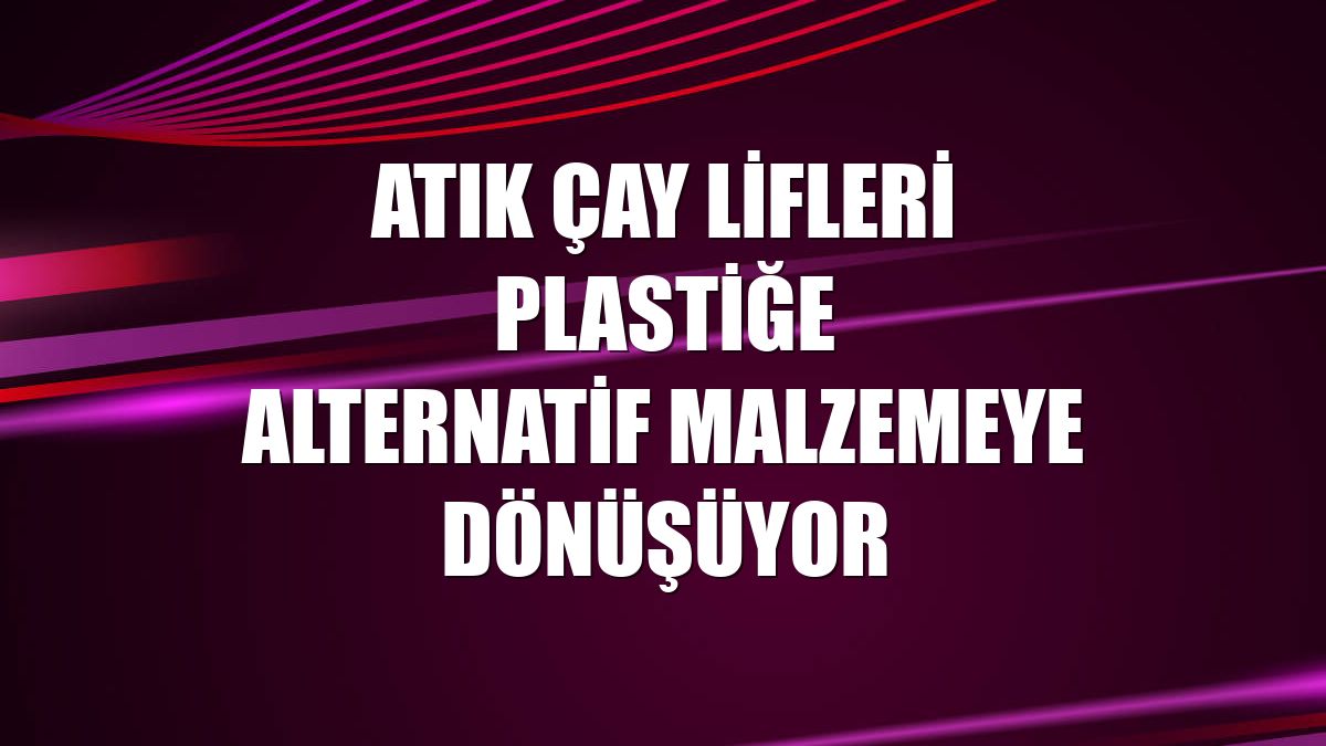Atık çay lifleri plastiğe alternatif malzemeye dönüşüyor