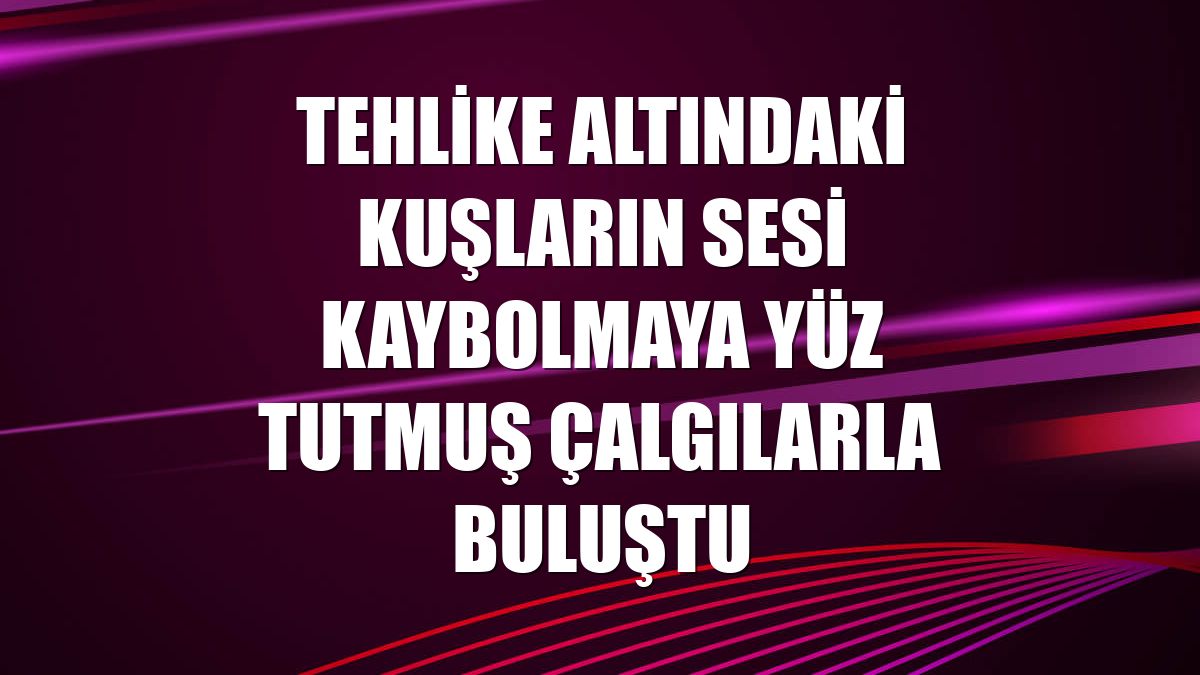 Tehlike altındaki kuşların sesi kaybolmaya yüz tutmuş çalgılarla buluştu