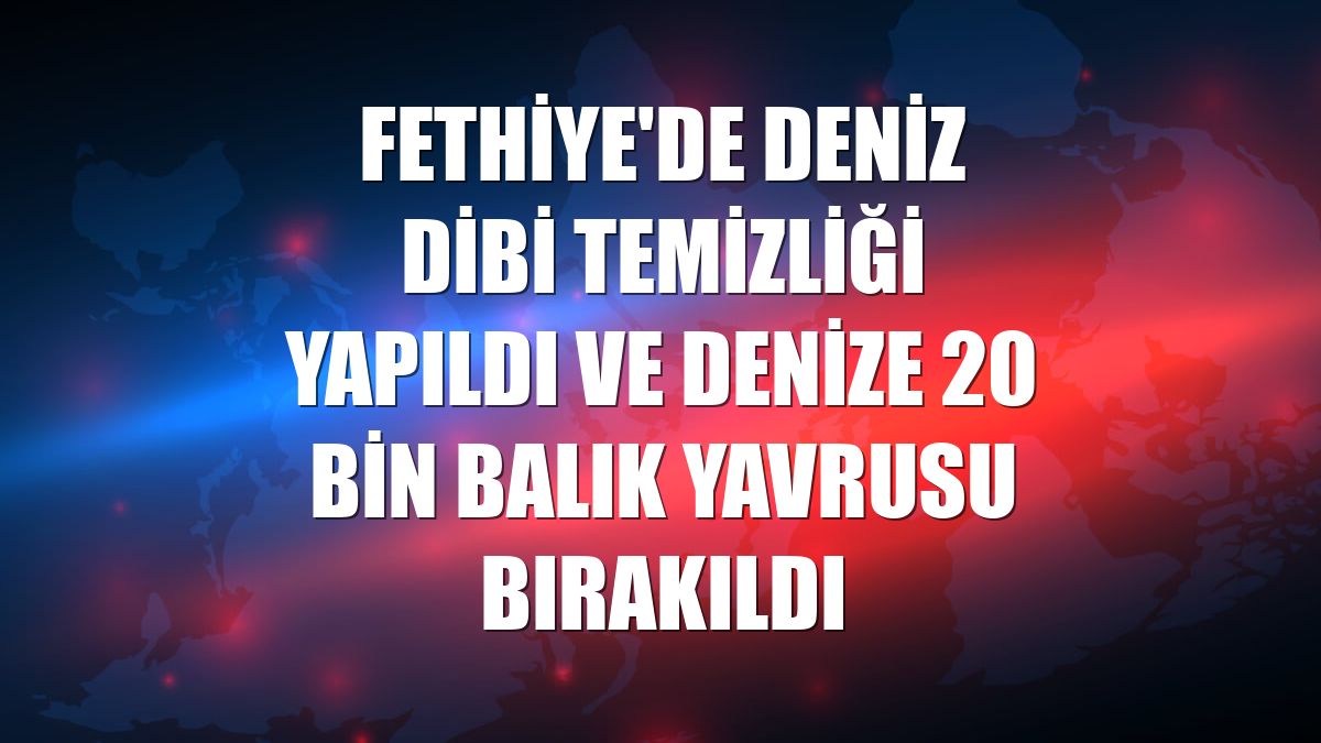 Fethiye'de deniz dibi temizliği yapıldı ve denize 20 bin balık yavrusu bırakıldı