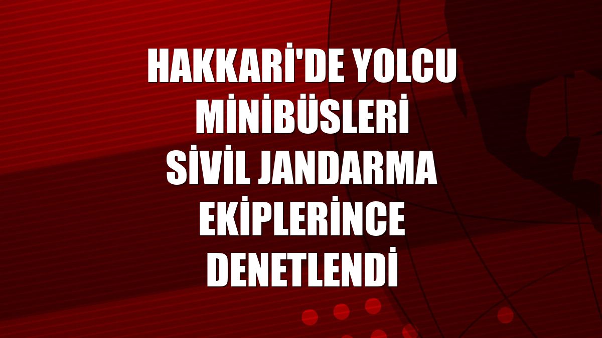 Hakkari'de yolcu minibüsleri sivil jandarma ekiplerince denetlendi