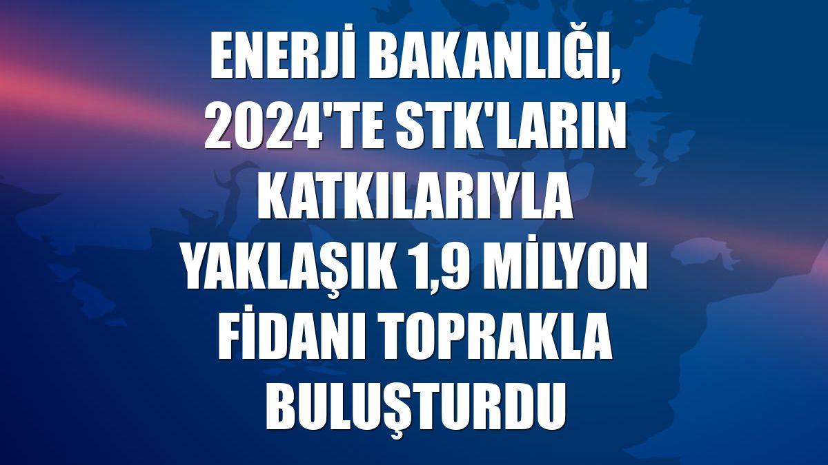 Enerji Bakanlığı, 2024'te STK'ların katkılarıyla yaklaşık 1,9 milyon fidanı toprakla buluşturdu
