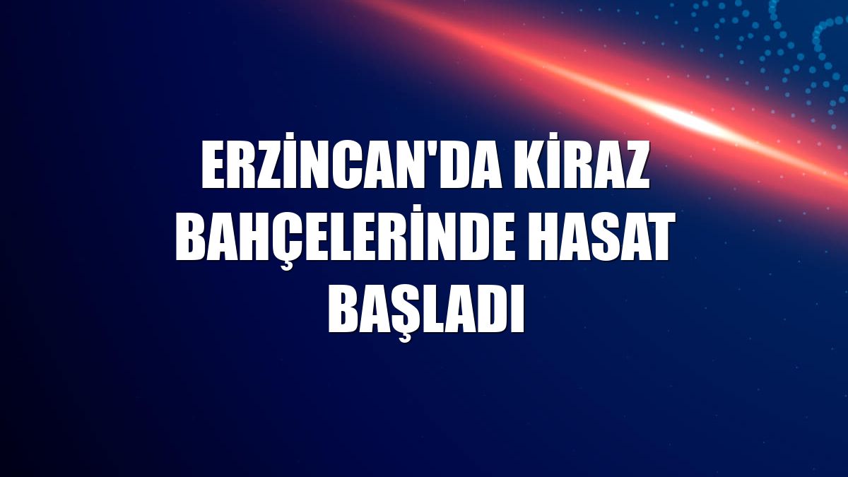 Erzincan'da kiraz bahçelerinde hasat başladı