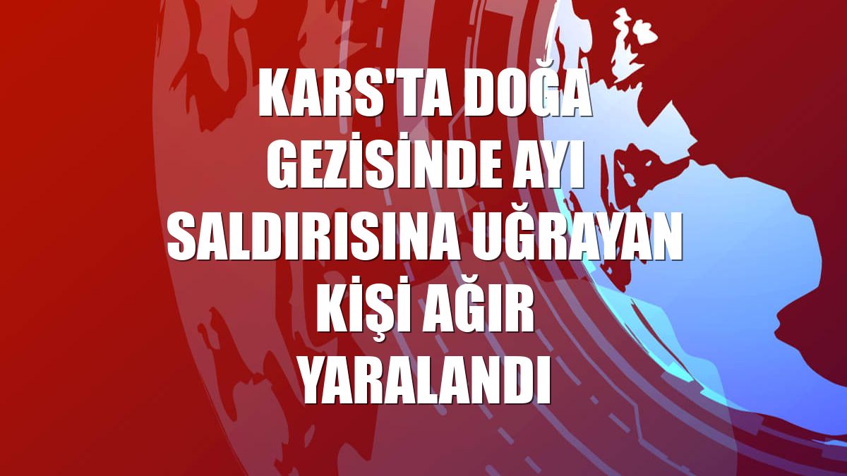 Kars'ta doğa gezisinde ayı saldırısına uğrayan kişi ağır yaralandı