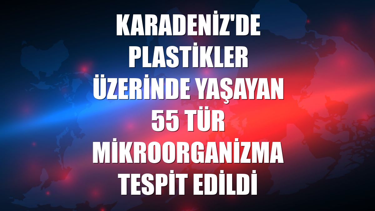 Karadeniz'de plastikler üzerinde yaşayan 55 tür mikroorganizma tespit edildi