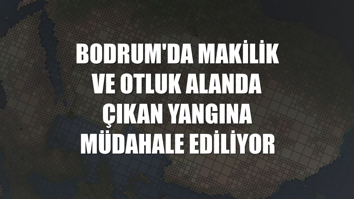 Bodrum'da makilik ve otluk alanda çıkan yangına müdahale ediliyor