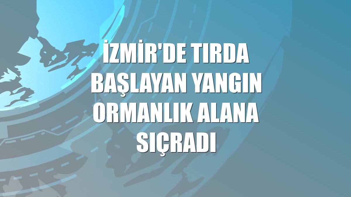 İzmir'de tırda başlayan yangın ormanlık alana sıçradı