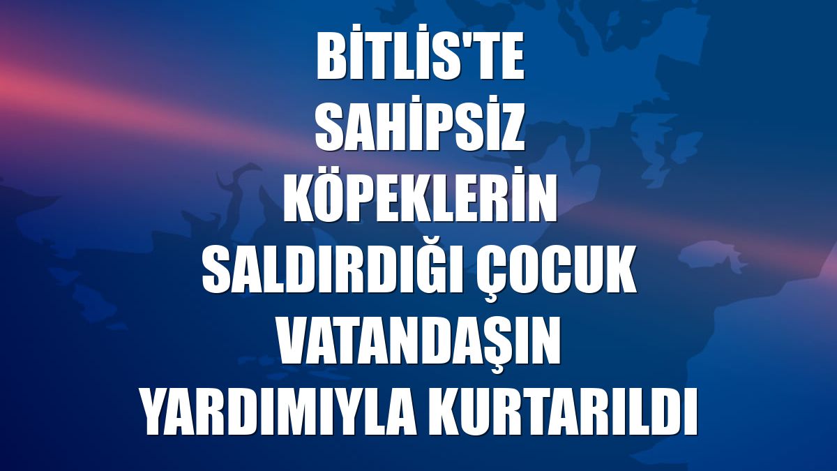 Bitlis'te sahipsiz köpeklerin saldırdığı çocuk vatandaşın yardımıyla kurtarıldı