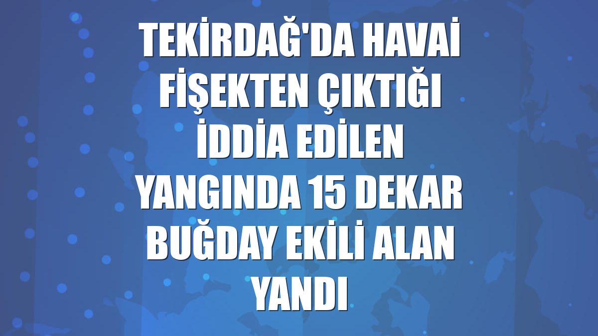 Tekirdağ'da havai fişekten çıktığı iddia edilen yangında 15 dekar buğday ekili alan yandı
