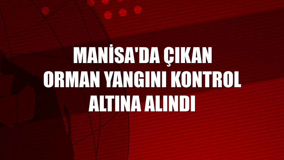 Manisa'da çıkan orman yangını kontrol altına alındı