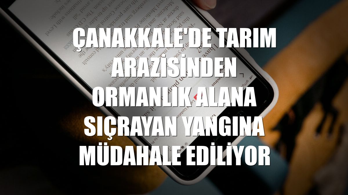 Çanakkale'de tarım arazisinden ormanlık alana sıçrayan yangına müdahale ediliyor