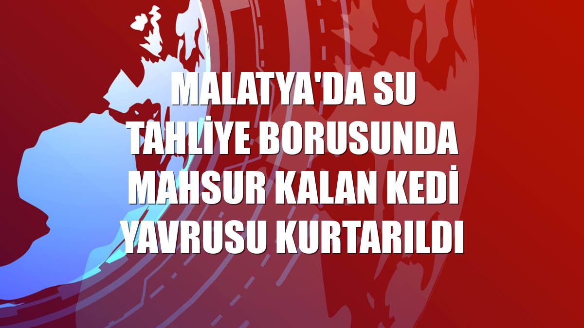 Malatya'da su tahliye borusunda mahsur kalan kedi yavrusu kurtarıldı