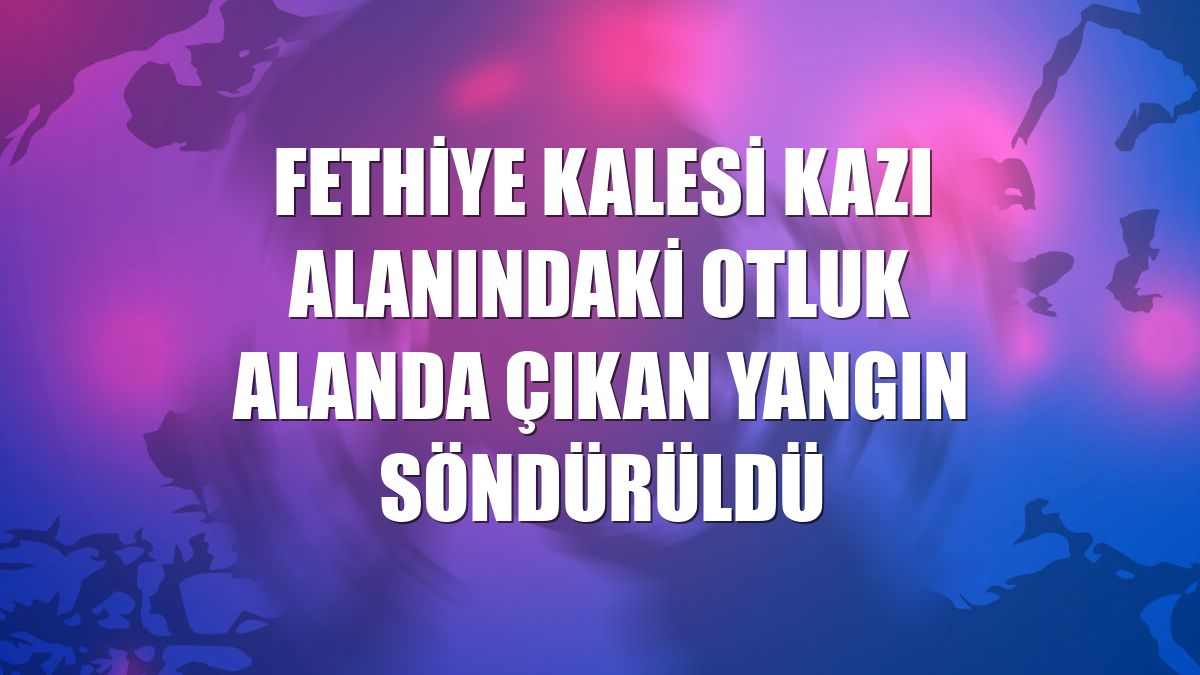 Fethiye Kalesi kazı alanındaki otluk alanda çıkan yangın söndürüldü