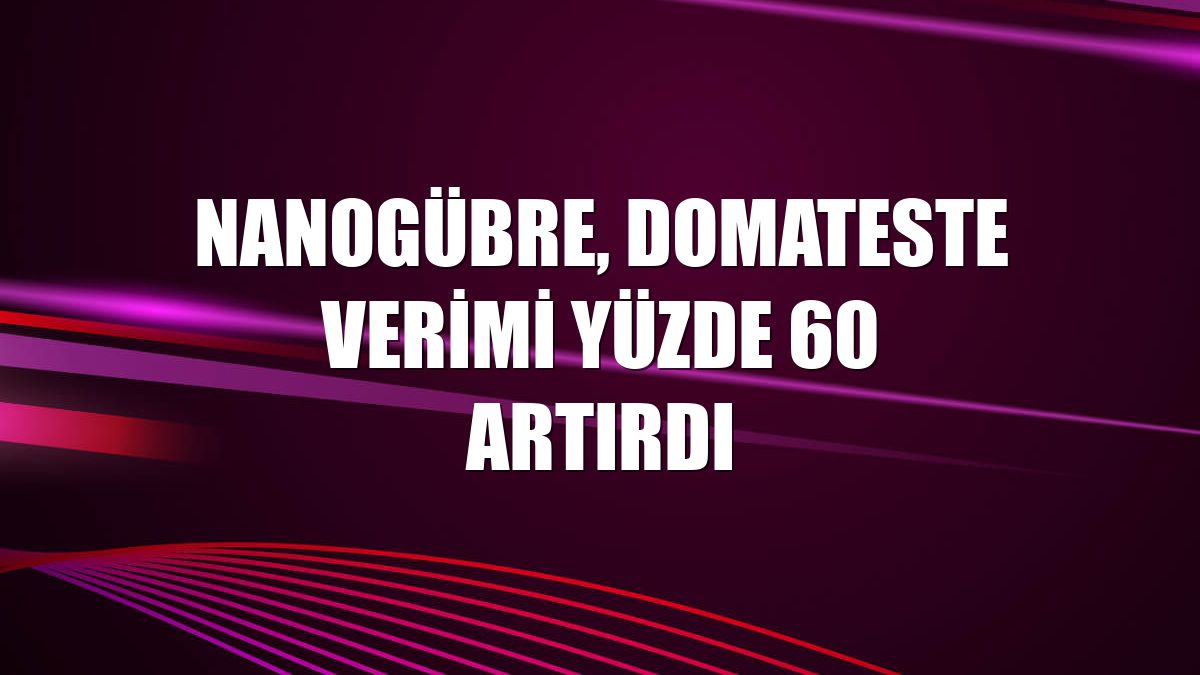 Nanogübre, domateste verimi yüzde 60 artırdı