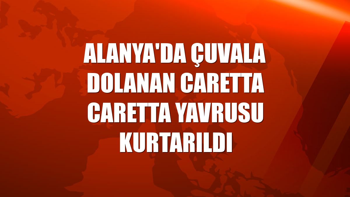 Alanya'da çuvala dolanan caretta caretta yavrusu kurtarıldı