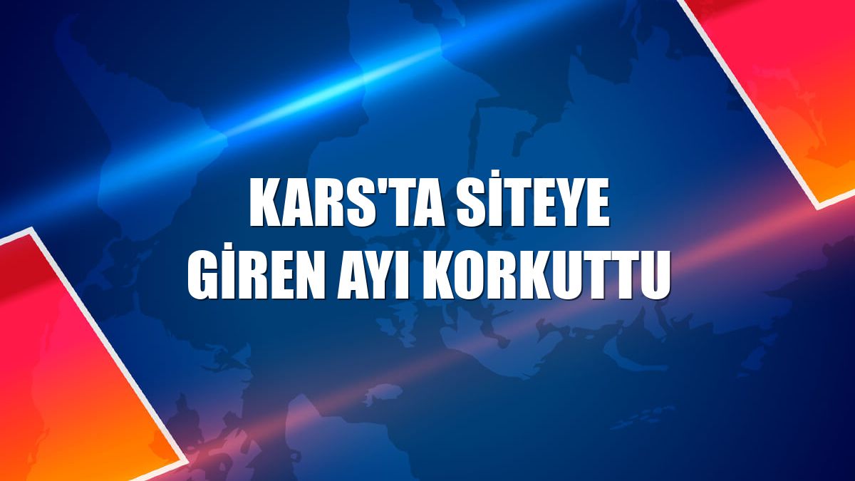 Kars'ta siteye giren ayı korkuttu
