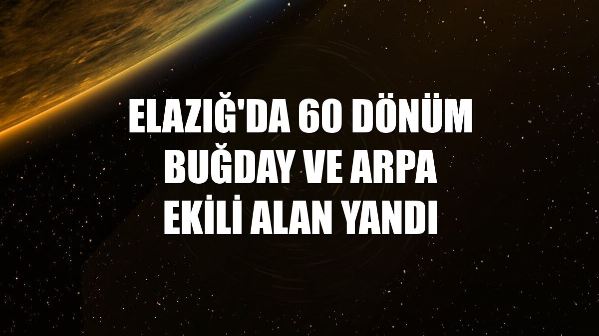 Elazığ'da 60 dönüm buğday ve arpa ekili alan yandı