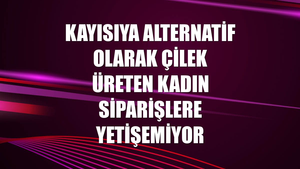 Kayısıya alternatif olarak çilek üreten kadın siparişlere yetişemiyor