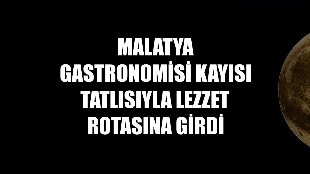 Malatya gastronomisi kayısı tatlısıyla lezzet rotasına girdi