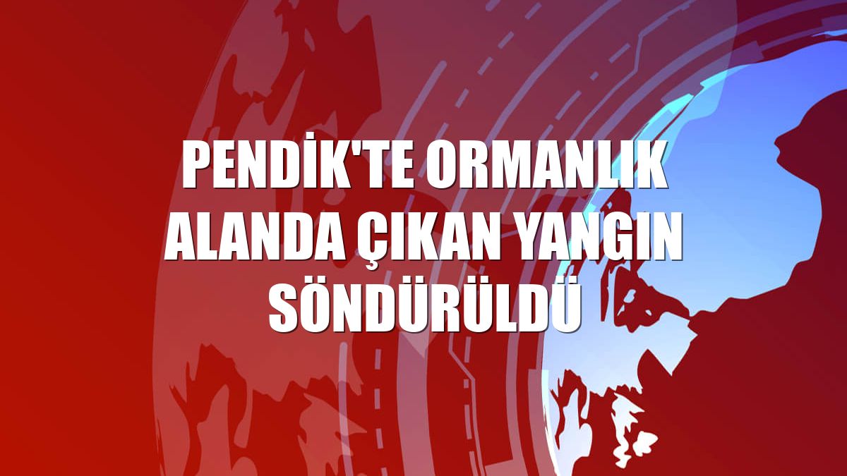 Pendik'te ormanlık alanda çıkan yangın söndürüldü