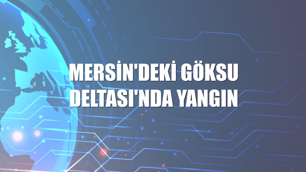 Mersin'deki Göksu Deltası'nda yangın