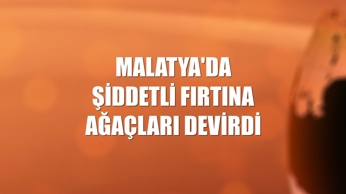 Malatya'da şiddetli fırtına ağaçları devirdi