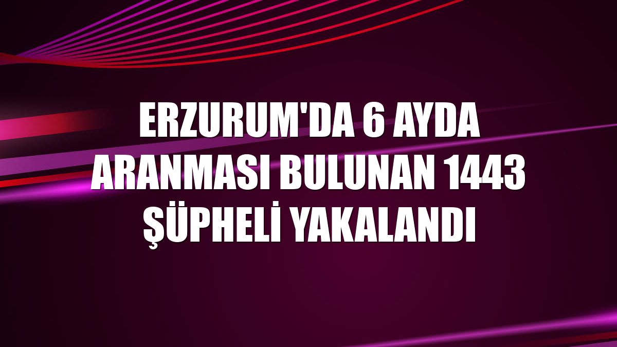 Erzurum'da 6 ayda aranması bulunan 1443 şüpheli yakalandı
