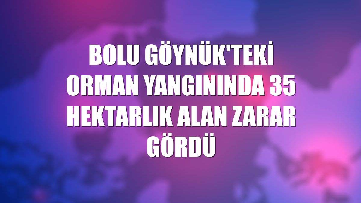 Bolu Göynük'teki orman yangınında 35 hektarlık alan zarar gördü