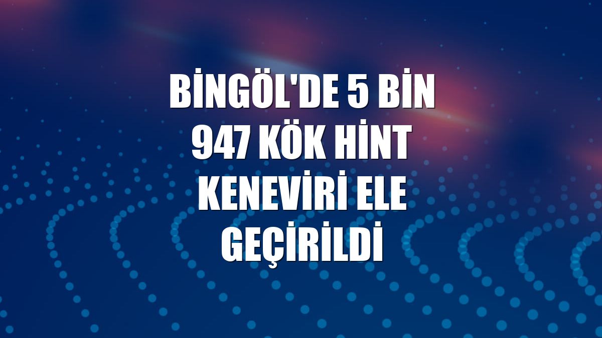 Bingöl'de 5 bin 947 kök Hint keneviri ele geçirildi