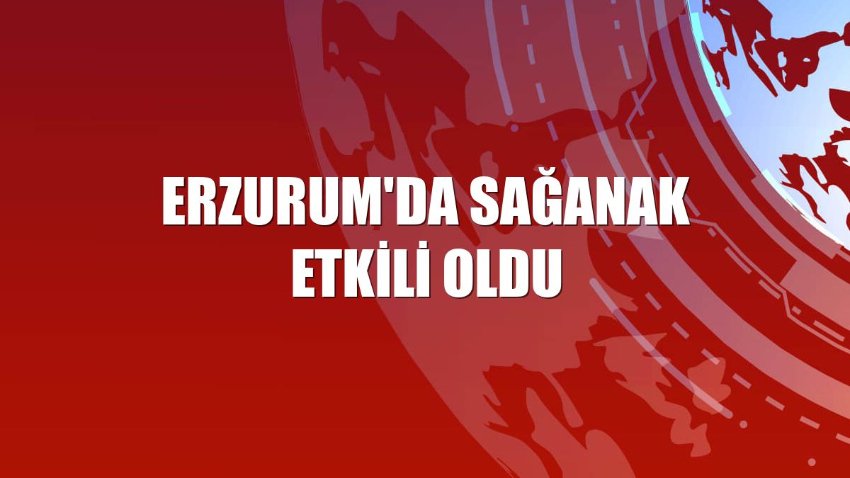 Erzurum'da sağanak etkili oldu