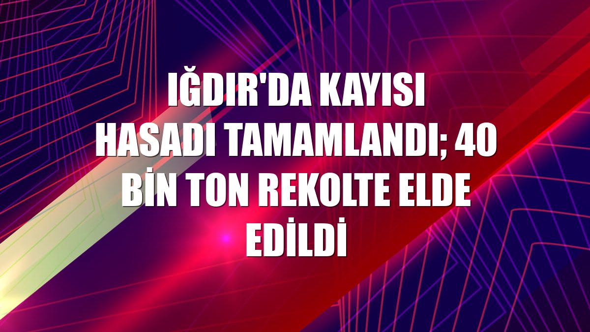 Iğdır'da kayısı hasadı tamamlandı; 40 bin ton rekolte elde edildi