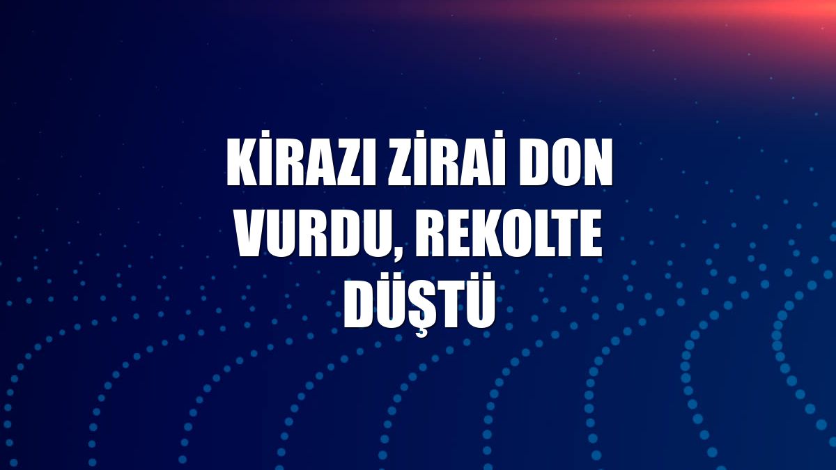 Kirazı zirai don vurdu, rekolte düştü