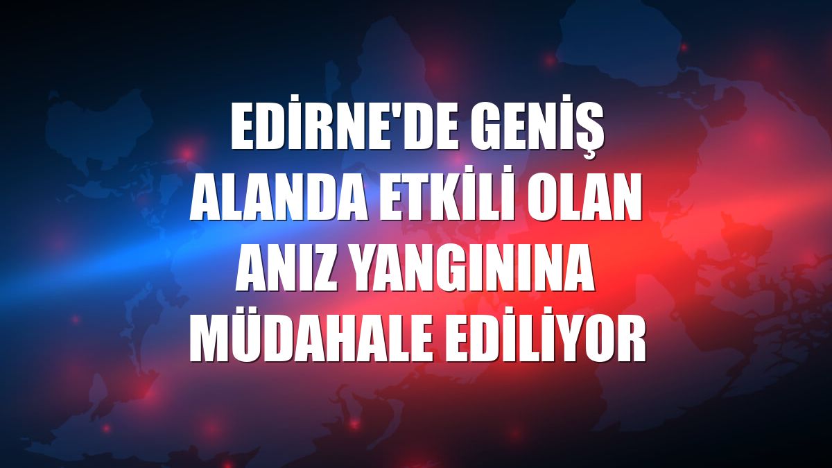 Edirne'de geniş alanda etkili olan anız yangınına müdahale ediliyor