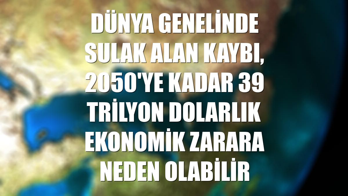 Dünya genelinde sulak alan kaybı, 2050'ye kadar 39 trilyon dolarlık ekonomik zarara neden olabilir