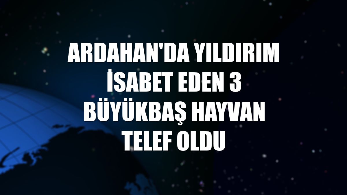Ardahan'da yıldırım isabet eden 3 büyükbaş hayvan telef oldu