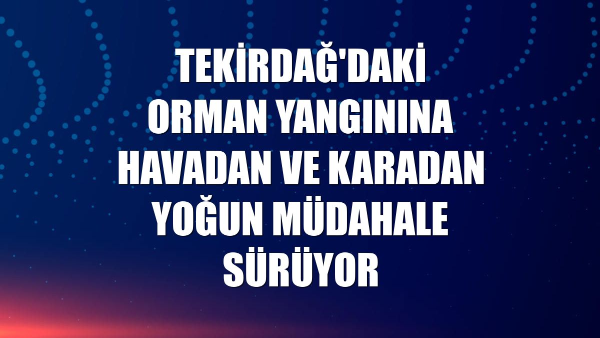 Tekirdağ'daki orman yangınına havadan ve karadan yoğun müdahale sürüyor