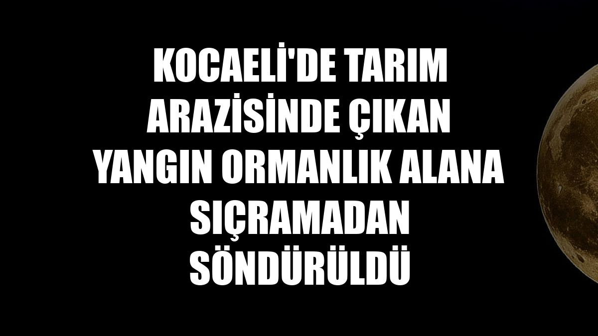 Kocaeli'de tarım arazisinde çıkan yangın ormanlık alana sıçramadan söndürüldü