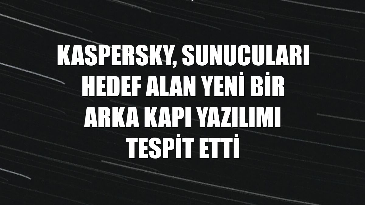 Kaspersky, sunucuları hedef alan yeni bir arka kapı yazılımı tespit etti