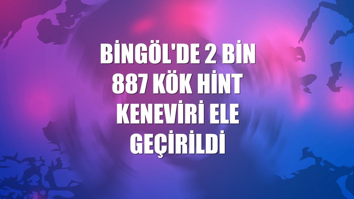 Bingöl'de 2 bin 887 kök Hint keneviri ele geçirildi