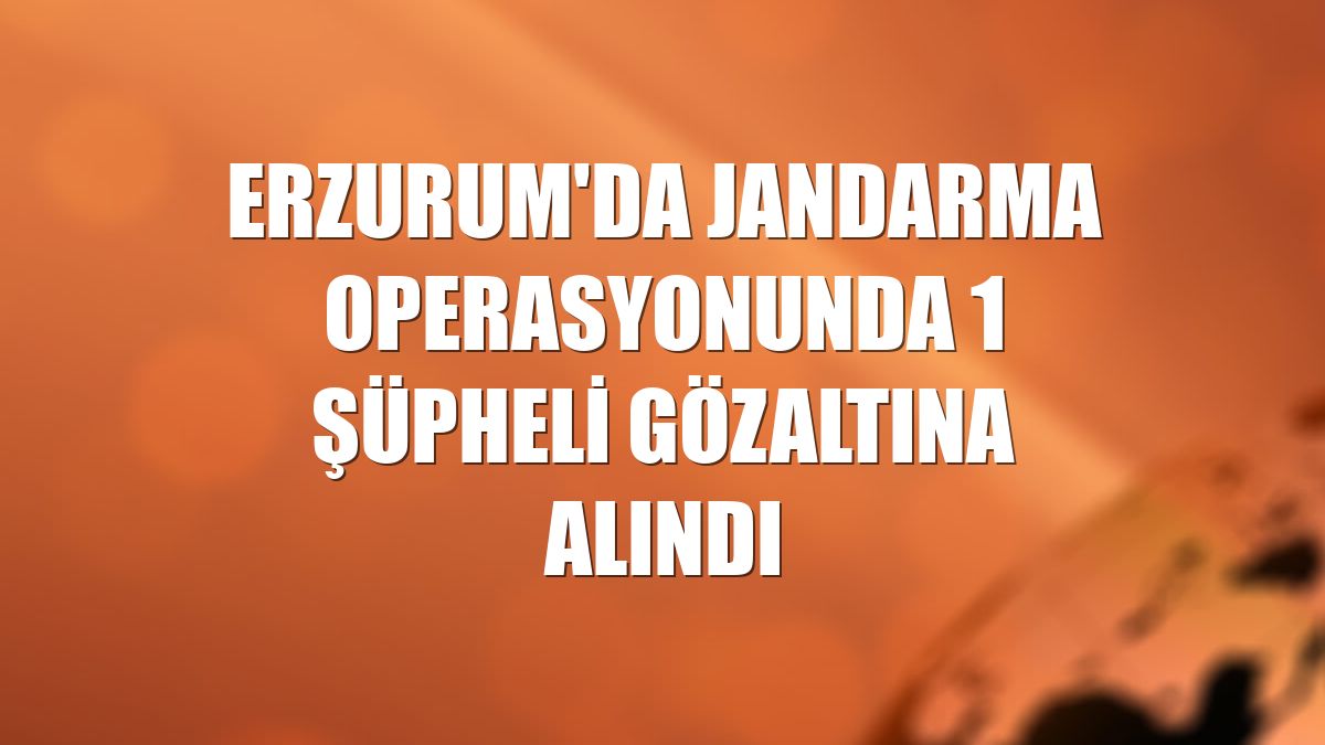 Erzurum'da jandarma operasyonunda 1 şüpheli gözaltına alındı