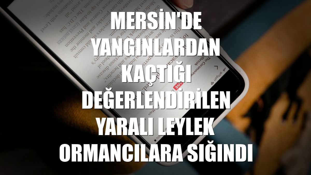Mersin'de yangınlardan kaçtığı değerlendirilen yaralı leylek ormancılara sığındı