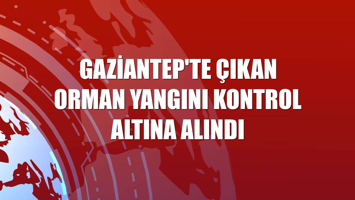 Gaziantep'te çıkan orman yangını kontrol altına alındı