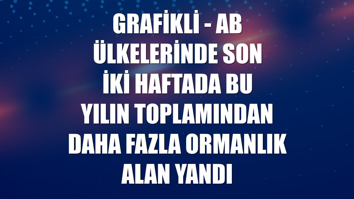 GRAFİKLİ - AB ülkelerinde son iki haftada bu yılın toplamından daha fazla ormanlık alan yandı
